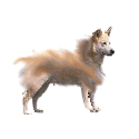 whtiedog1.GIF (4809 bytes)