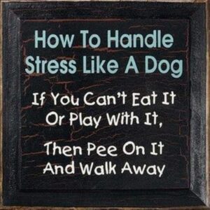 dog stress